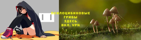 дурь Белокуриха