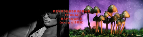 прущая мука Россошь