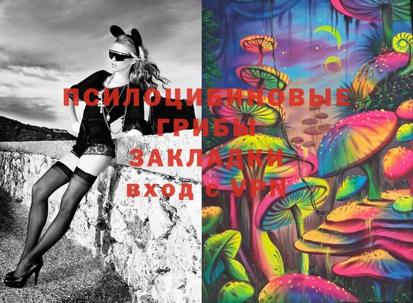 дурь Белокуриха