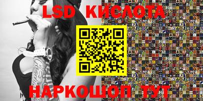 индика Пенза