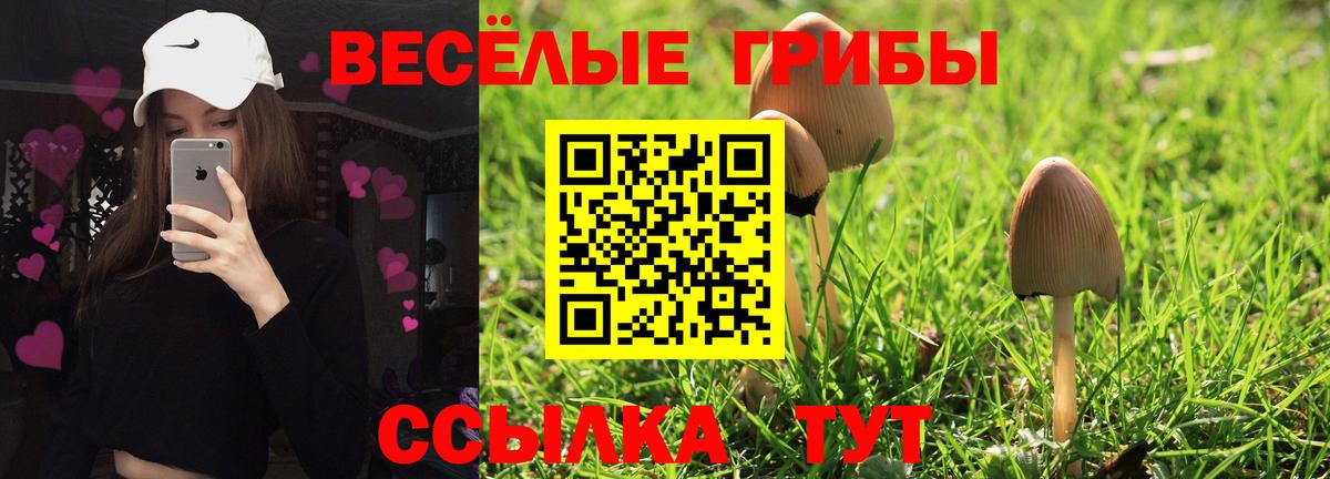 Сердобск  Галлюциногенные грибы Cubensis  Вход с VPN 