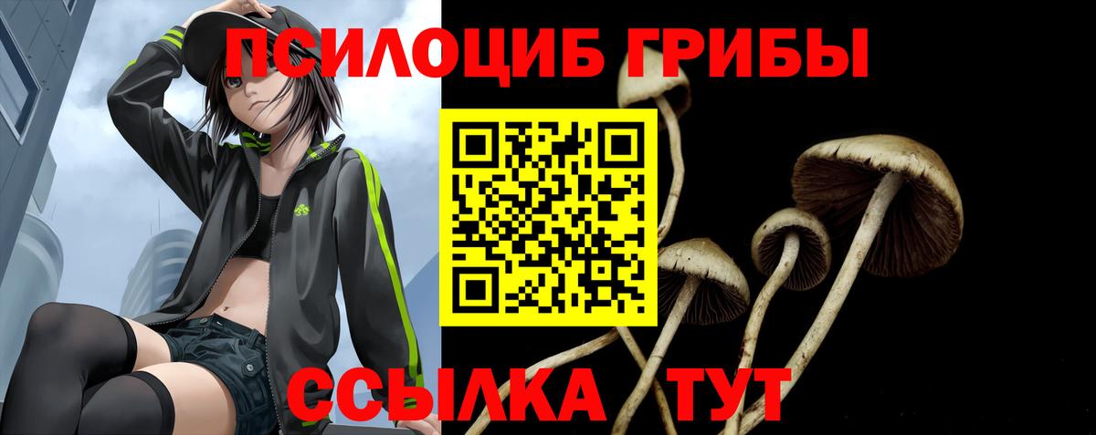 Галлюциногенные грибы прущие грибы Сердобск